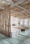 Lemn decorativ de mesteacan / Trunchi mesteacan / Rondele , felii lemn