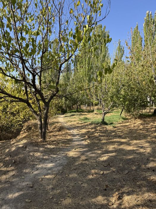 Oqtoshda hovli sotiladi