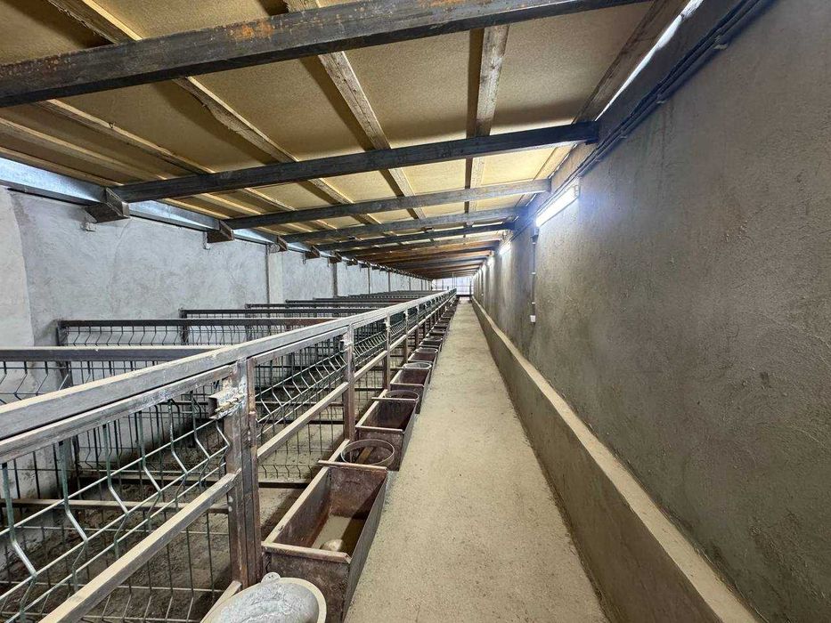 Продается земля 36 соток, готовая ферма (Юкори Чирчикский район)