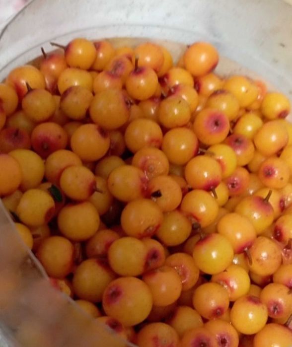 1800 тг кг олин килограмм Облепиха