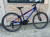Bicicleta Junior Cross Speedster