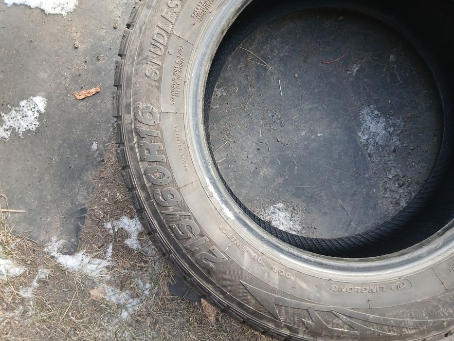 Резна лапочка 16