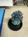 Servicii proiectare 3d, printare, turnare, vanzari rasini bijutier/den