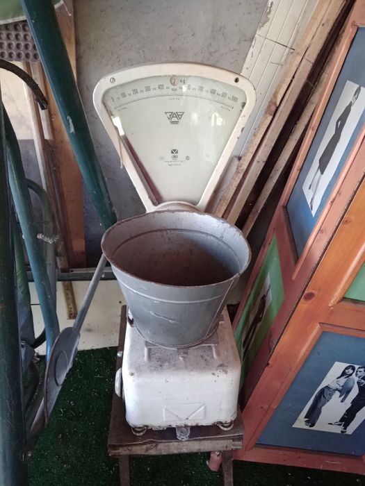 Обикновен кантар