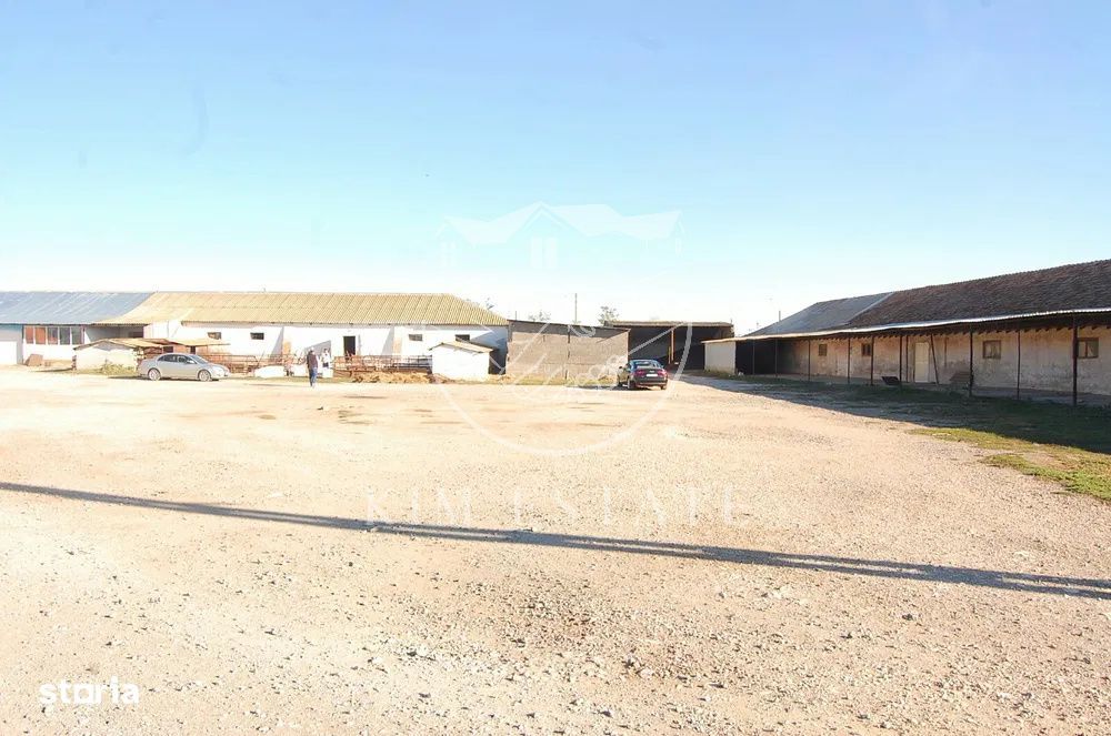 De vanzare ferma N.Balcescu