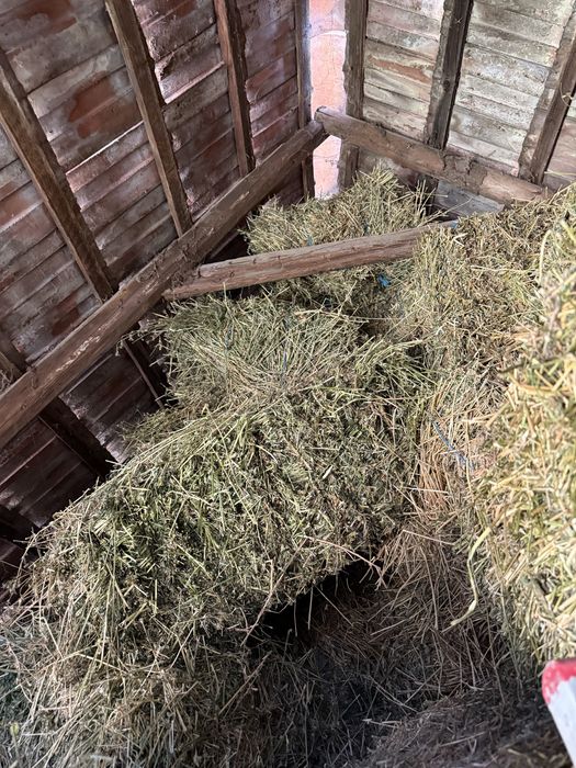 Vand baloti de lucerna mici dreptunghiulari