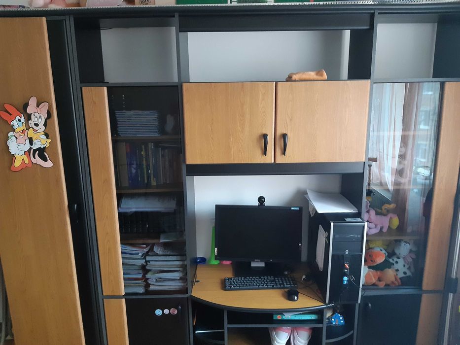 Vand mobila camera tineret/living