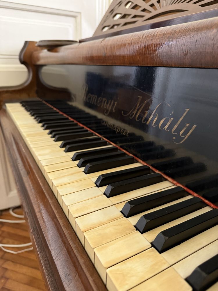 Gran Piano Remenyi Mihaly Budapest