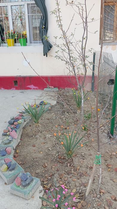 Своя 1/1/2. Татарский поворот