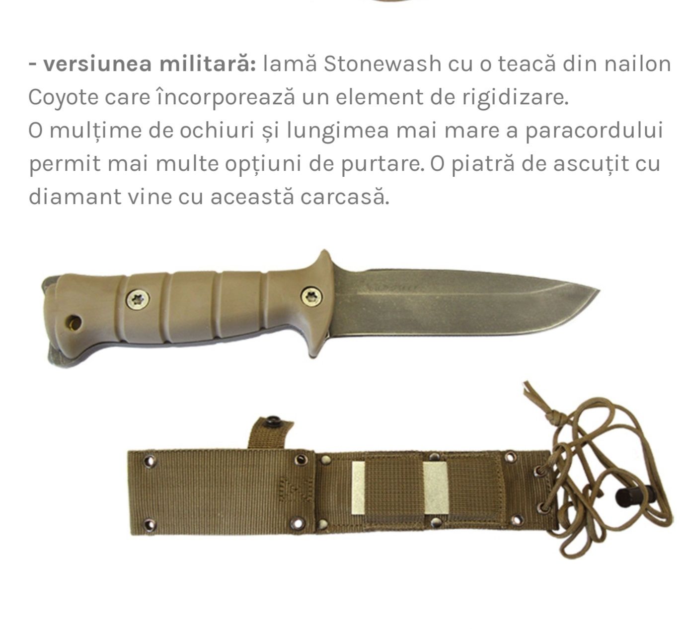 Cutit tactic Wildsteer Tarasco