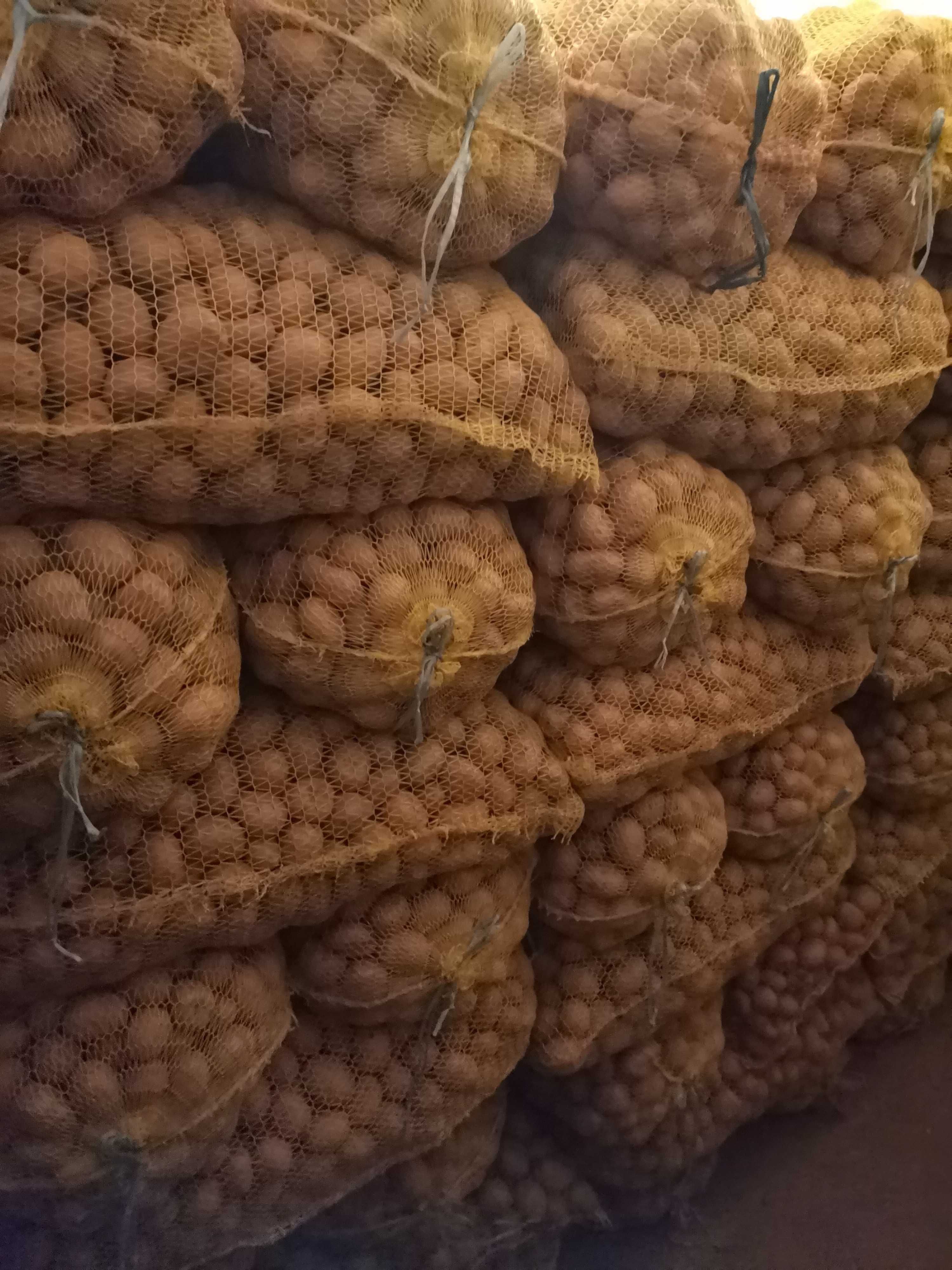 Картоф за семе и консумация (Сорая)