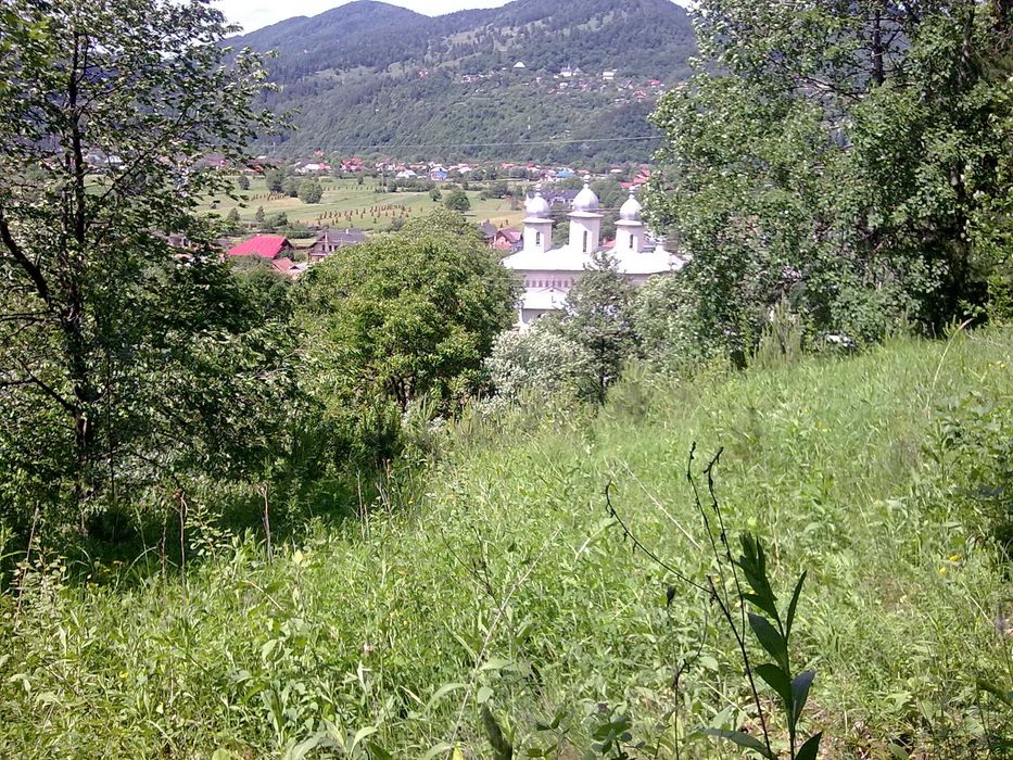 De vânzare teren de 5500 mp situat în Vădurele