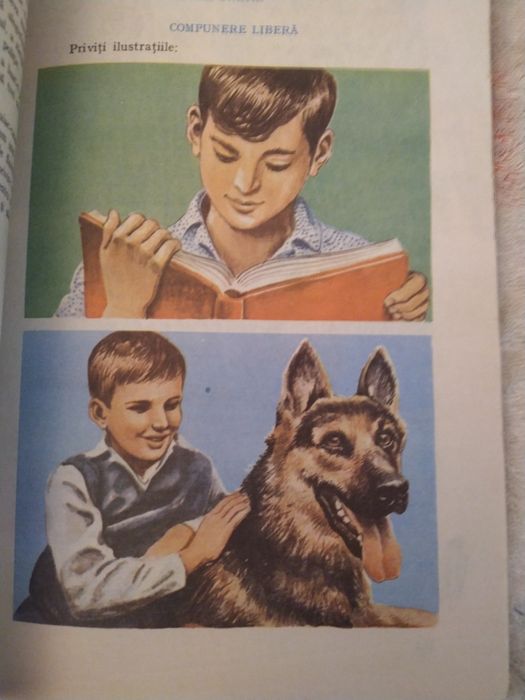 Limba română pentru clasa a V - a