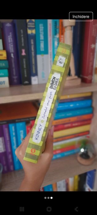 Jurnalul unui puști-,,Ghinion cu carul"-vol.8