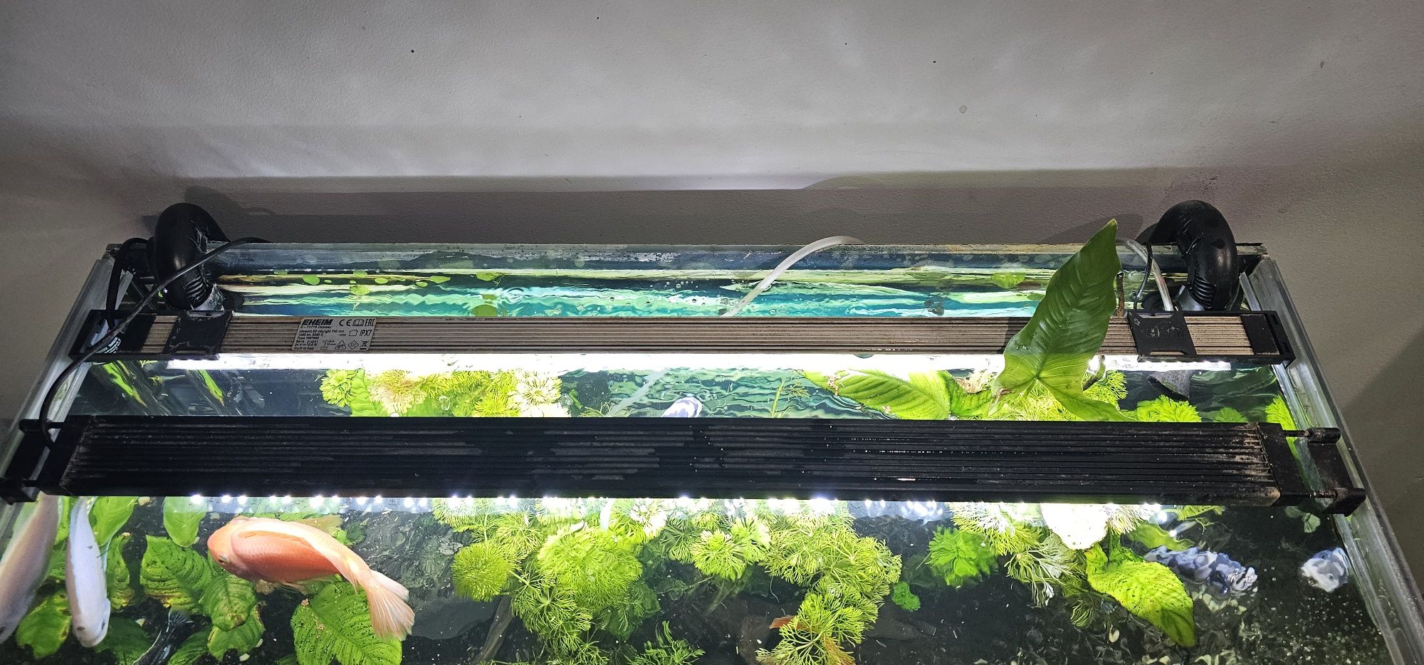 Оборудван аквариум с шкав ,риби и техника