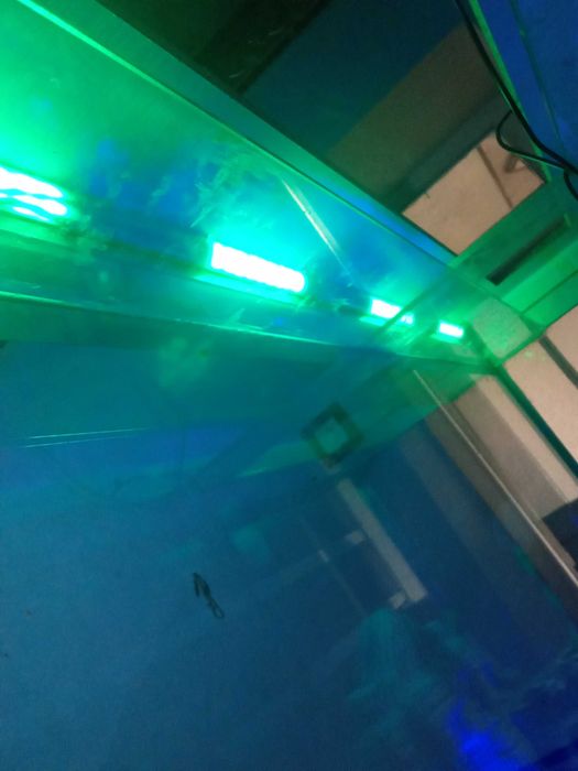 Большой аквариум