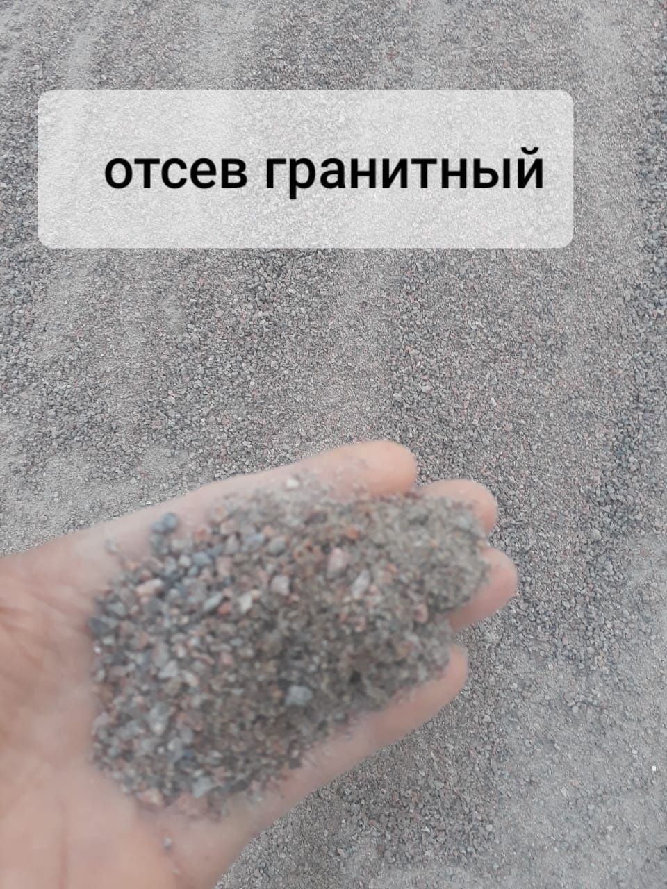 Sheben Pesok Klinis Gavanna Shag'al sotiladi.