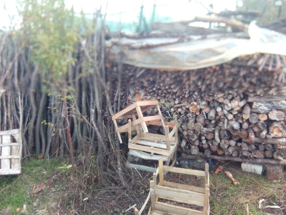 Paleți rupți și întregi ,lemne