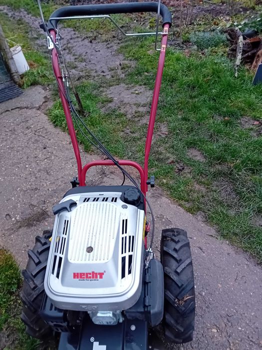 De vânzare cositoare Hecht