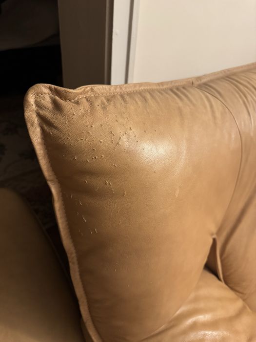 Дивани от естествена кожа Rolf Benz