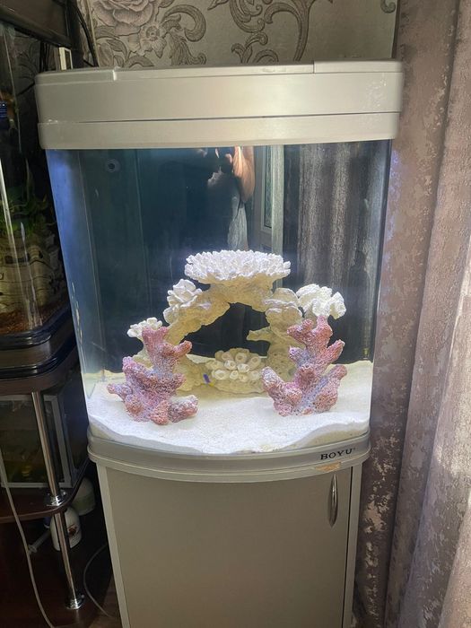 В морской аквариум  90 л