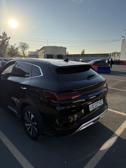 Byd champion oficial 2024 gibrid