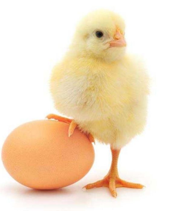 Психология,КПТ,энерготерапия