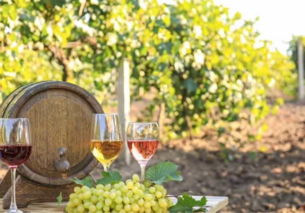 Vând Struguri de vin toate soiurile cu transport la domiciliu