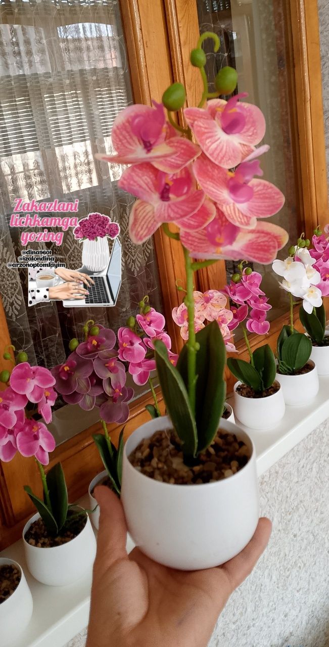 Mini orxideya 55 ming. Suniy gullar. Toshkent