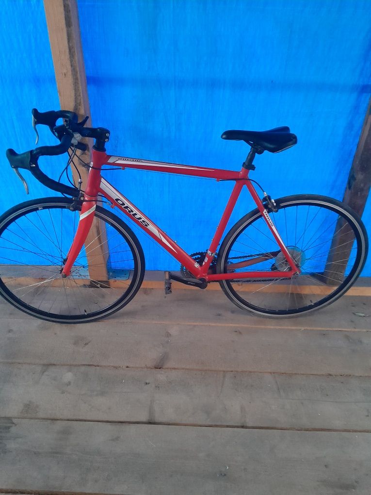 Bicicleta Ours de curse