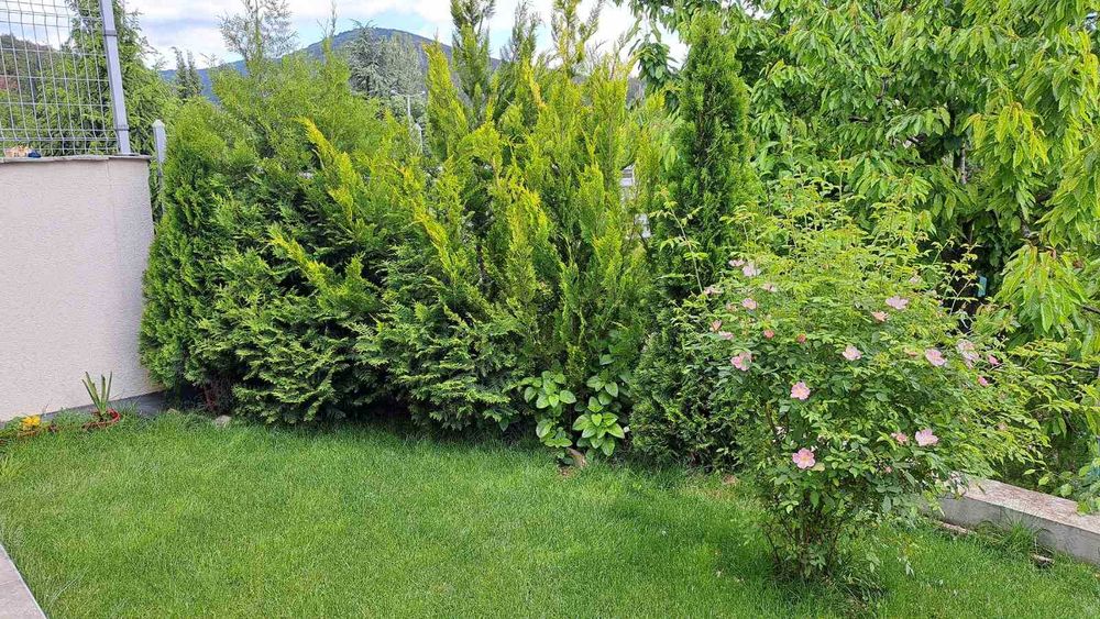 Продава се Къща в Стара Загора, Аязмото - 98 кв.м за 1171 €/кв.м - Снимка #11