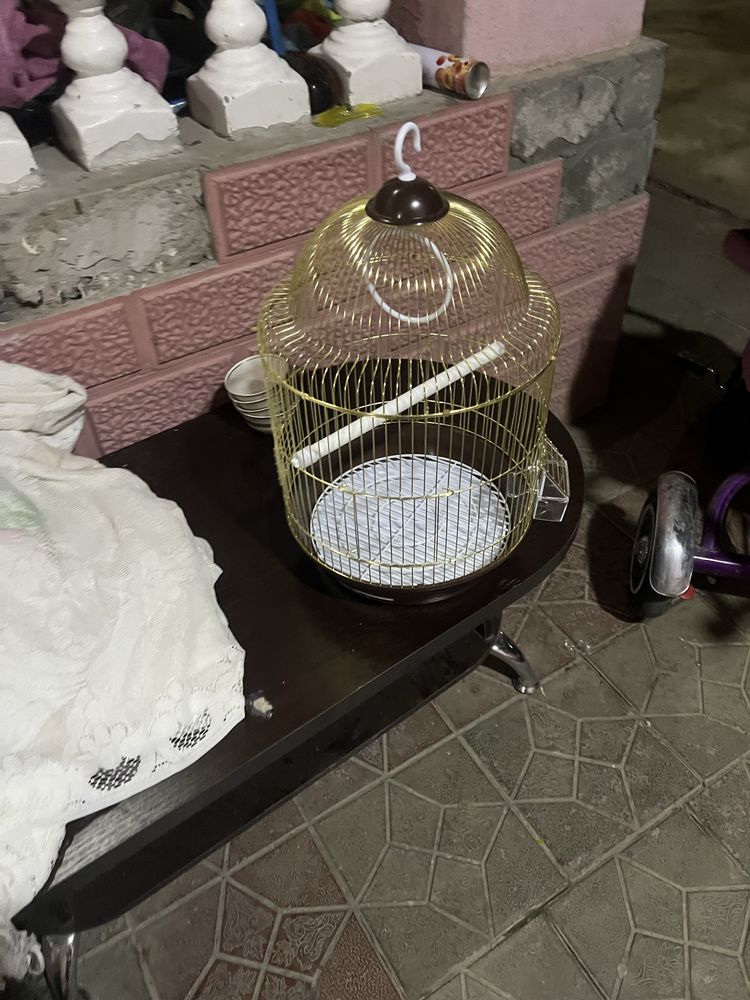xtoy qafas sotiladi