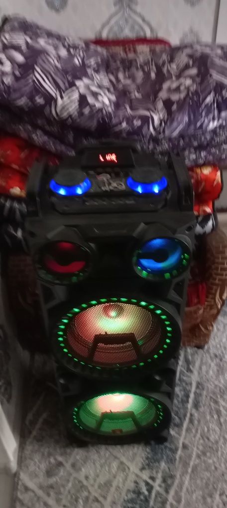 Kalonka sobwoofer Avcrowns CH8212/karaoke