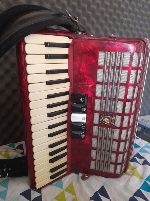 Acordeon parrot 48 basi