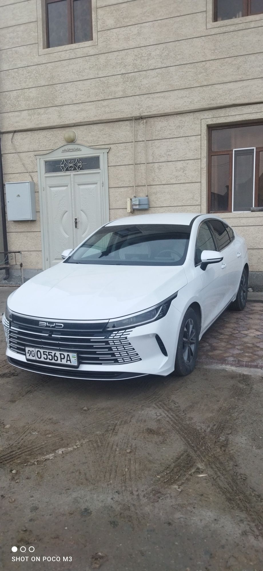 BYD Chazor 2024 oktabr