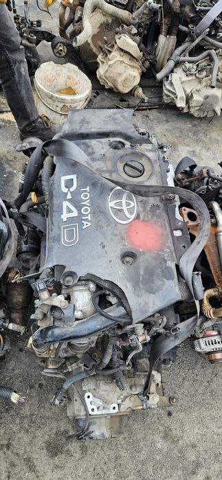 Маторы из европы