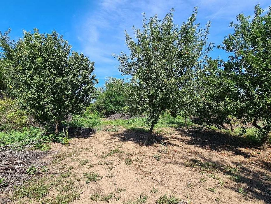 Продава се Къща в с. Червена, Област Велико Търново - 55 кв.м за 306 €/кв.м - Снимка #15