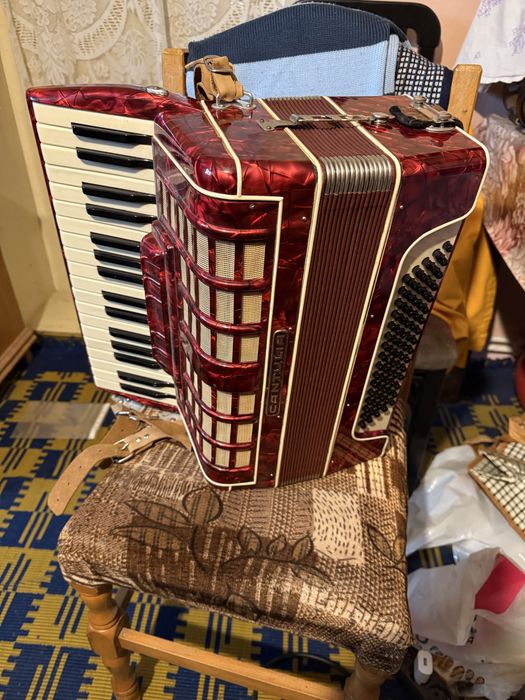 Acordeon nemțesc Cantulia