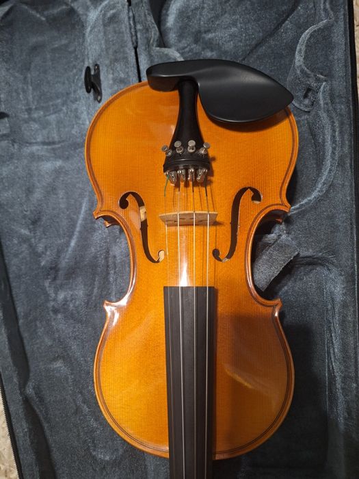 Vioara 3/4 Elite (Avansat) ulei Hora Reghin an 2022