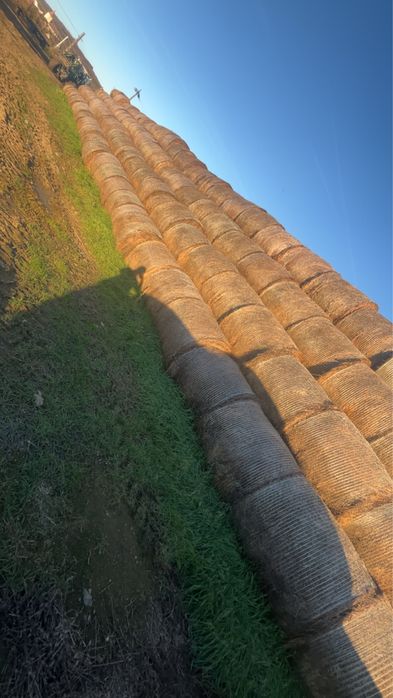 Vand baloții lucerna