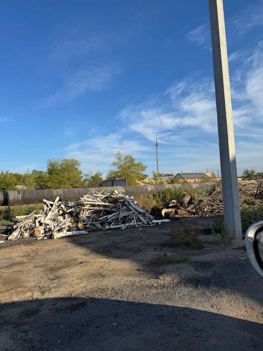 Дрова березы чурками