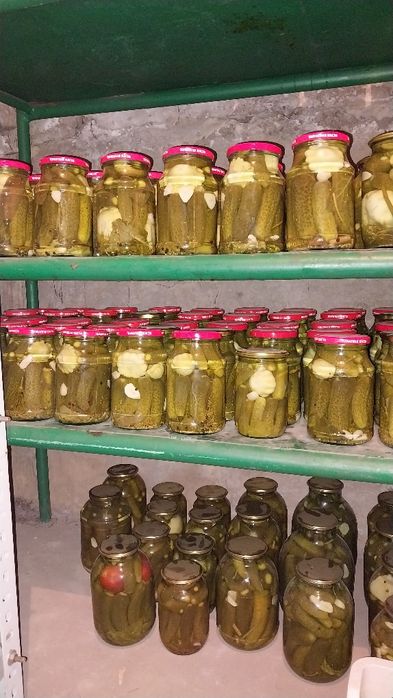 Маринованные огурчики