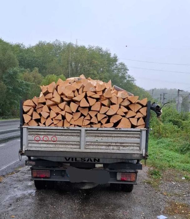 Lemne de foc esență tare (Fag, Carpen, Stejar )