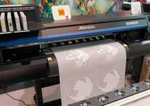 DTF Mimaki  Modificare printere DTF SUBLIMARE Brother Ricoh Sawgras