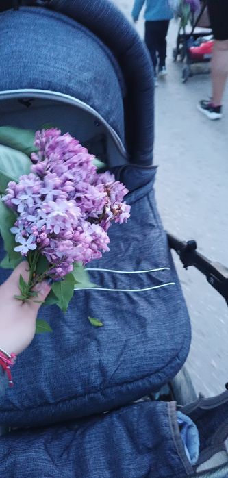 Бебешка количка 3 в 1