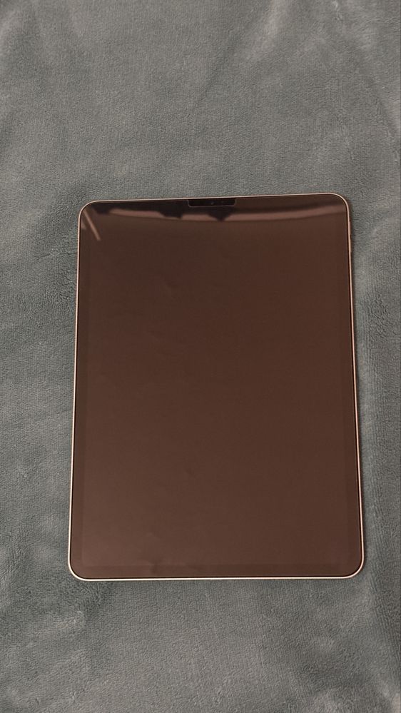 Ipad Pro 11 M2 с наушником и уллером