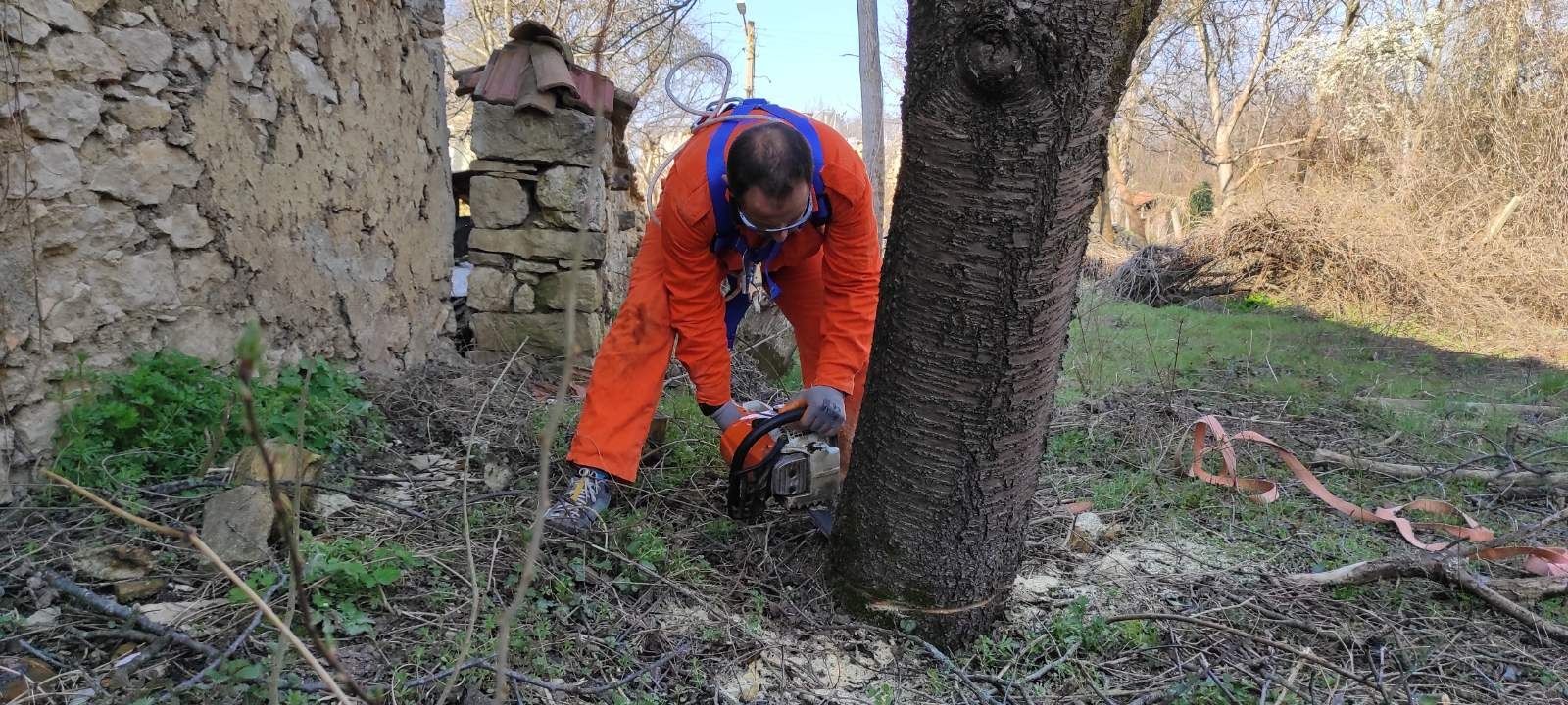 Рязане на дървета, косене на тревни площи, почистване на дворове.