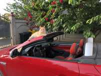 Opel Tigra 1.3 CDTI, roadster, decapotabil, consum mic