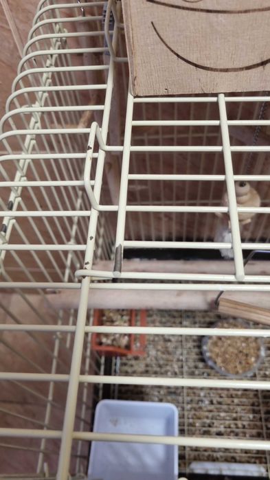 Cușcă pentru papagali mare