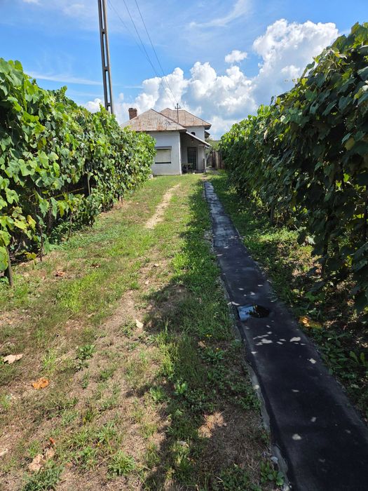 vand casa stradal
